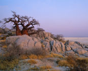 Sacred Kubu Island