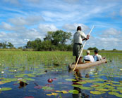 Okavango Delta by canoe