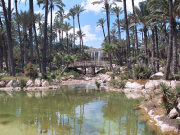 El Palmeral Park, Valencia. Photo by Valencia Tourist Board
