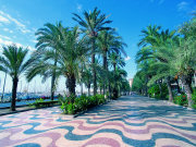 Esplandade, Valencia. Photo by Valencia Tourist Board