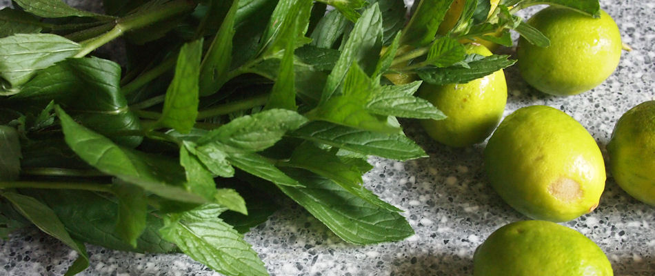 Making a mojito