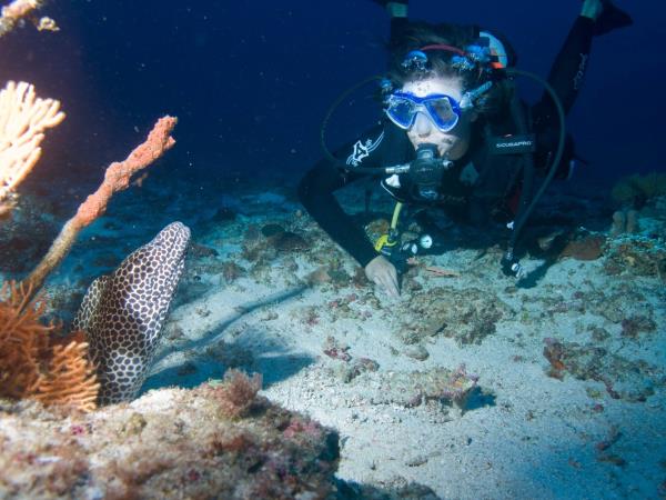 South Africa marine conservation diving vacation
