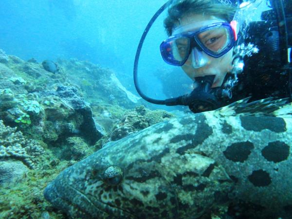 South Africa marine conservation diving vacation