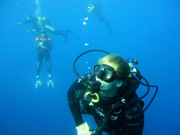South Africa marine conservation diving vacation