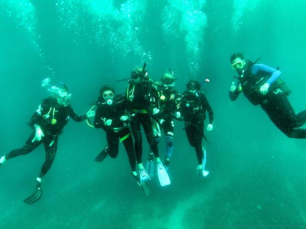 South Africa marine conservation diving vacation
