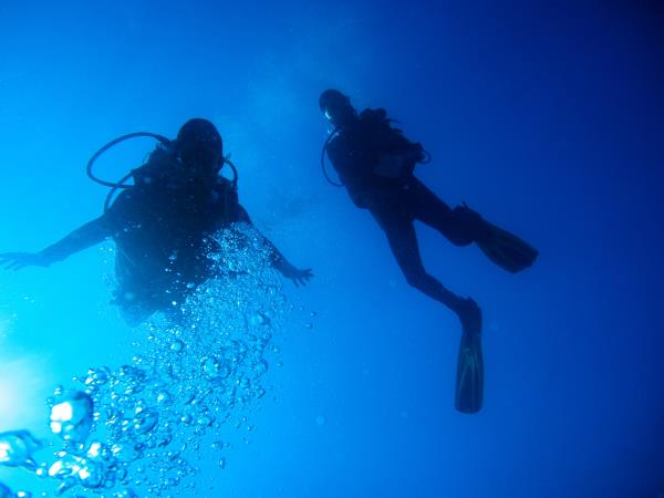 South Africa marine conservation diving vacation