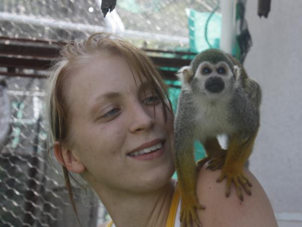 Primate rescue volunteer vacation in South Africa