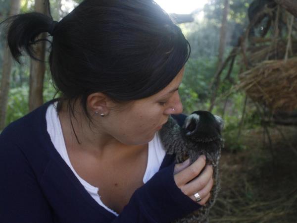 Primate rescue volunteer vacation in South Africa