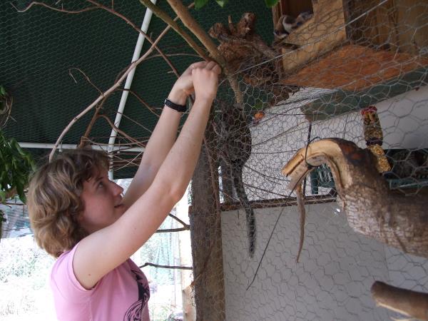 Primate rescue volunteer vacation in South Africa