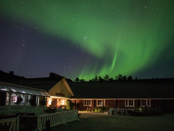 Lapland New Year vacation, Northern Lights
