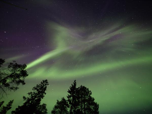 Lapland New Year vacation, Northern Lights
