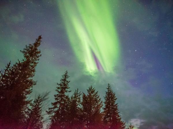 Lapland New Year vacation, Northern Lights