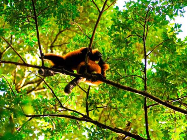 Luxury honeymoon in Madagascar