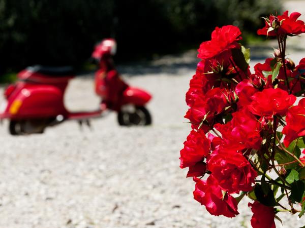 Umbria bed & breakfast accommodation, Italy