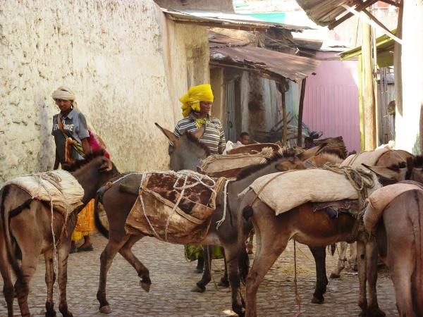 Ethiopia holidays, tailor made