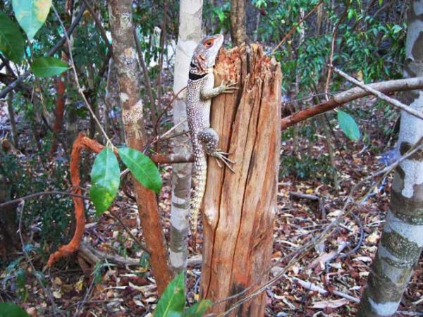 Madagascar North Coast adventure vacation