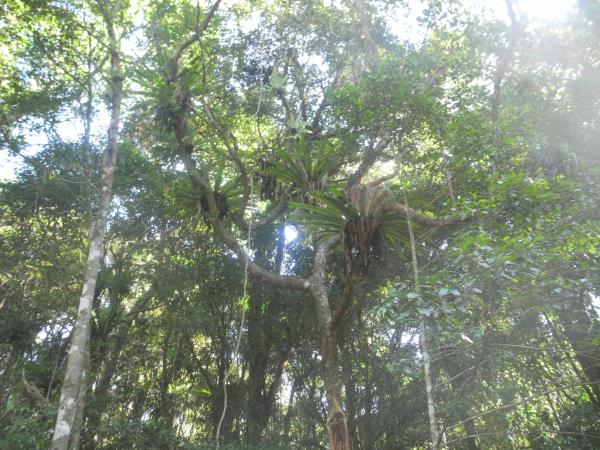 Madagascar North Coast adventure vacation