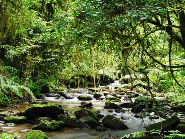 Madagascar family adventure holiday, canoes & camping