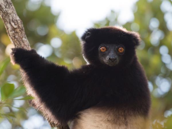 Madagascar family adventure holiday, canoes & camping