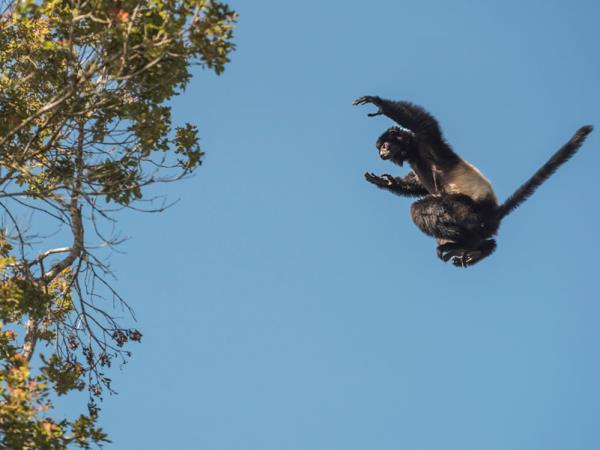 Madagascar holiday, Lemurs, canals & mountains