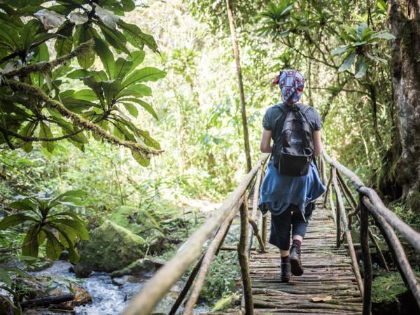 Madagascar holiday, Lemurs, canals & mountains