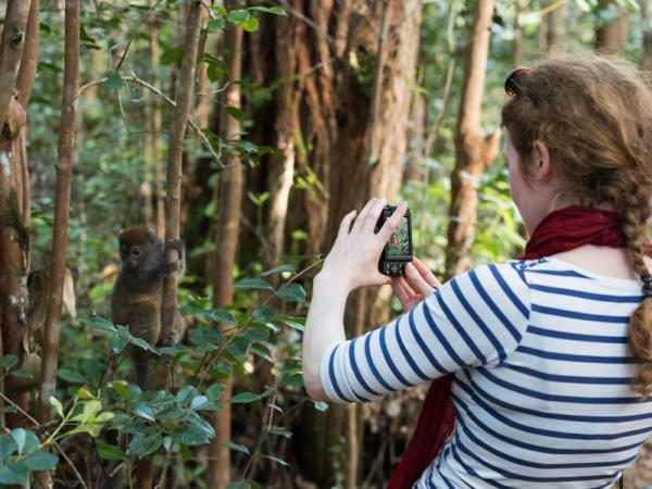 Southern Madagascar holidays, Lemurs, baobabs & beaches