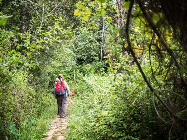 Southern Madagascar holidays, Lemurs, baobabs & beaches