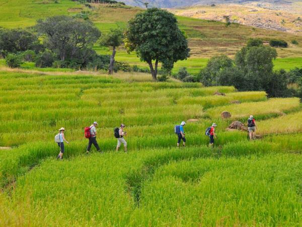 Eastern Madagascar trekking vacation