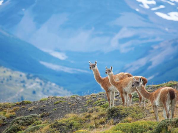 Patagonia & Torres del Paine vacation