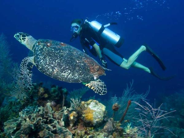 Belize sea kayaking vacation