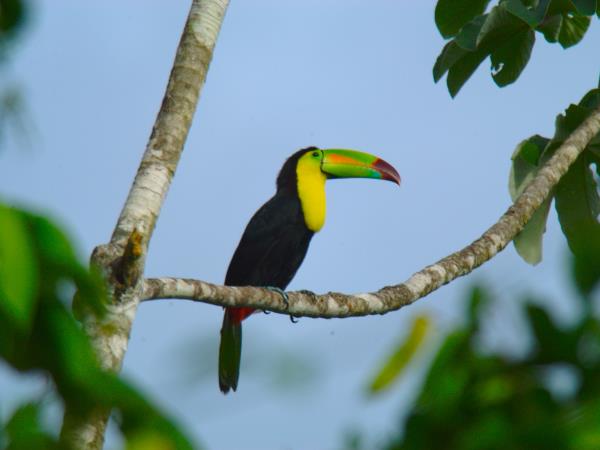 Belize sea kayaking vacation