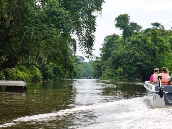 Borneo wildlife vacations