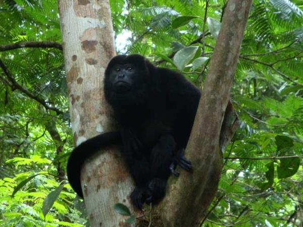 Costa Rica family multi activity holiday