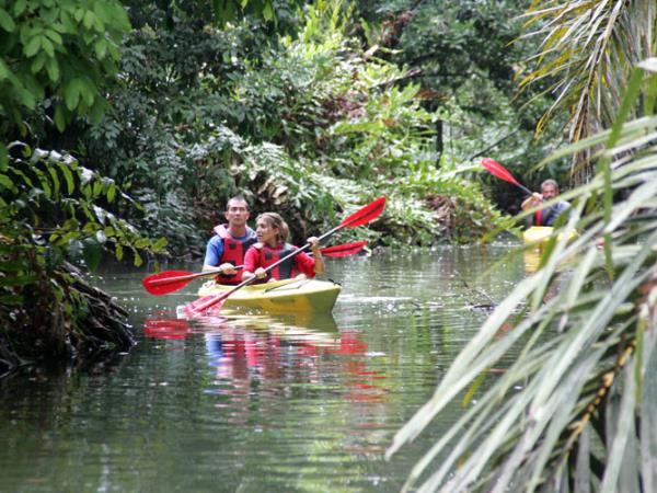 Honeymoon in Costa Rica, tailor made