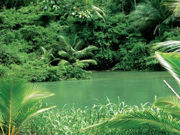 Costa Rica raft and trek adventure