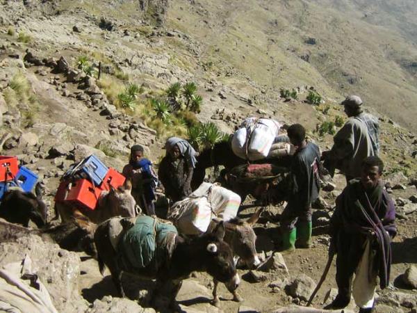 Ethiopia trekking holiday