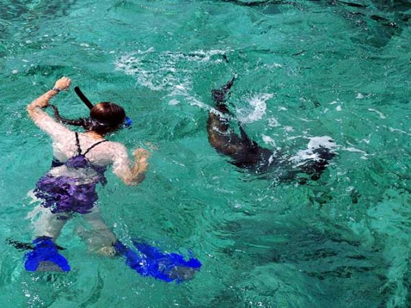 Galapagos activity vacation, tailor made