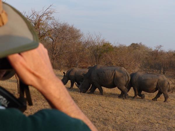 Ten day wildlife safari, South Africa 