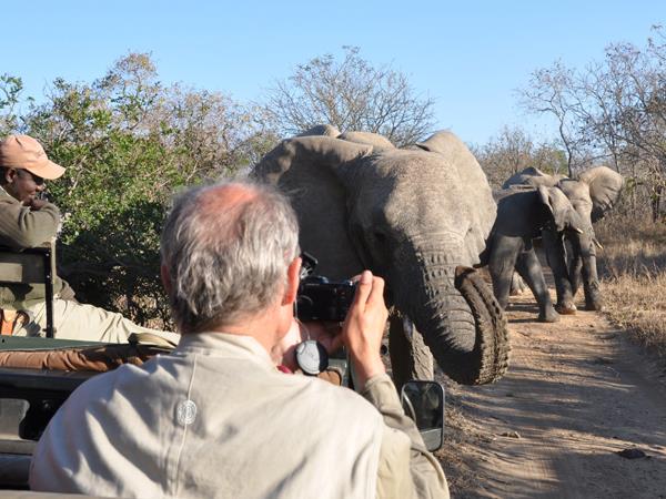 7 day big five safari in South Africa