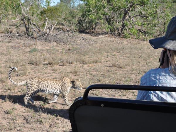 7 day big five safari in South Africa