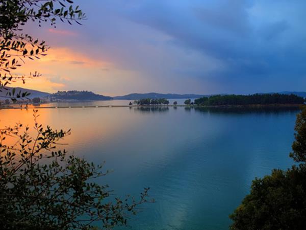 Dolphin conservation in Greece