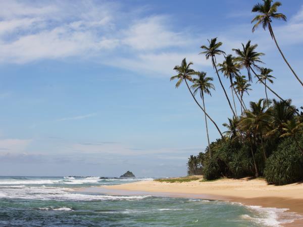 Sri Lanka vacations, tailor made