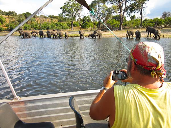 Botswana camping safaris