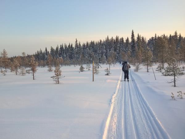 Cross-country skiing vacation in Finland's eastern wilderness