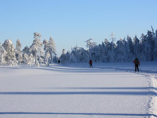 Cross-country skiing vacation in Finland's eastern wilderness