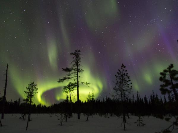 Cross-country skiing vacation in Finland's eastern wilderness