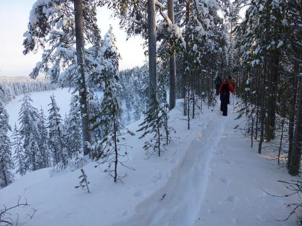 Snowshoeing vacation in Finland