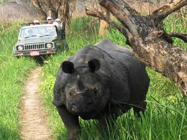 Southern India tailor made tour, Jungle trails