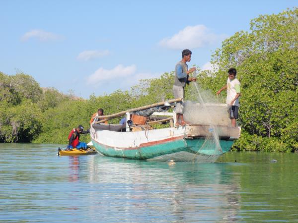 Kayaking holiday in Indonesia, Komodo Dragon tour