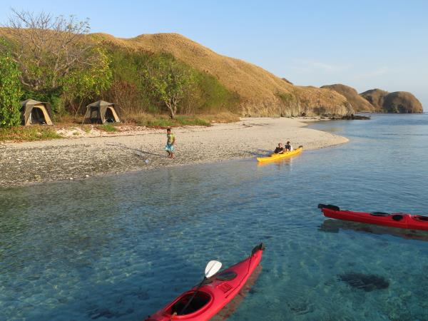 Kayaking holiday in Indonesia, Komodo Dragon tour